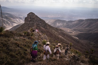 Wixárikas caminan por el desierto de Wirikuta