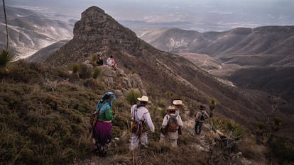 Wixárikas caminan por el desierto de Wirikuta en su peregrinación al Cerro Quemado.