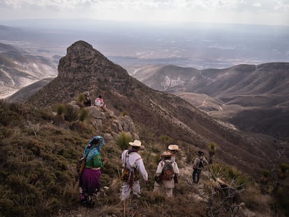 Wixárikas caminan por el desierto de Wirikuta en su peregrinación al Cerro Quemado.