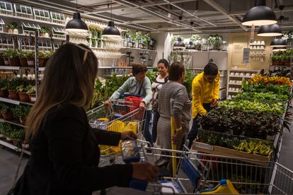 Un grupo de mujeres recorre la sección de plantas.