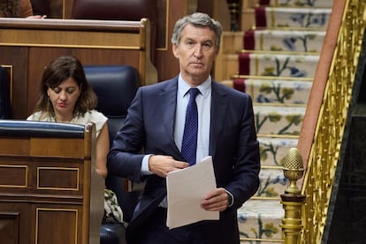 El presidente del PP, Alberto Núñez Feijóo, esta semana en el Congreso.