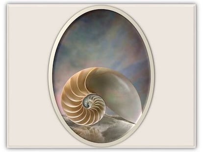 Viaje al fondo del Mar (I)