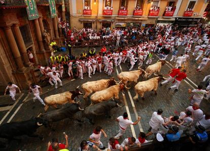 Toros de la ganadería de José Escolar Gil durante su recorrido por las calles de Pamplona.