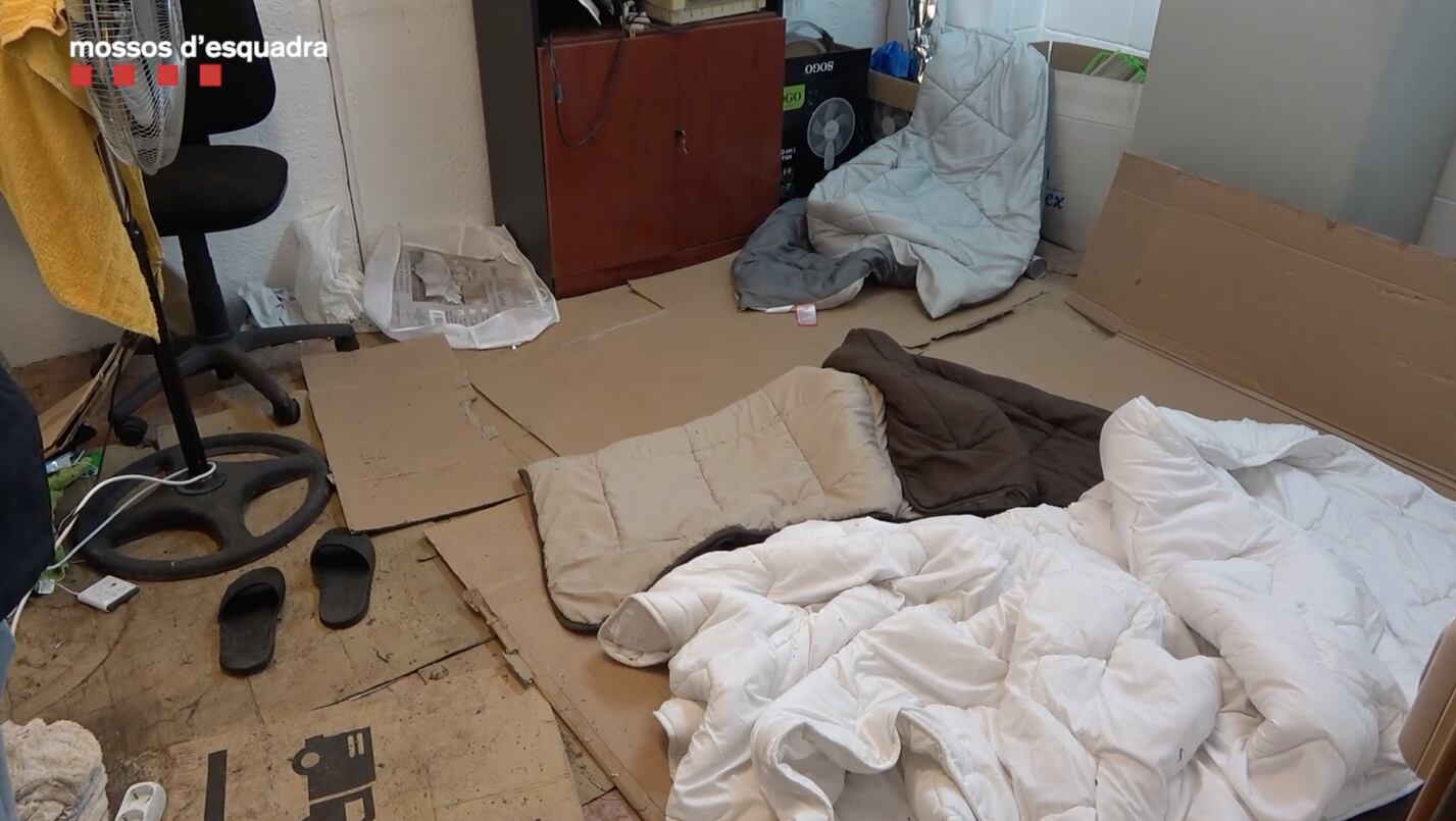 Una sentencia pionera condena a un ‘cabeza de serpiente’ por trata de jardineros de marihuana