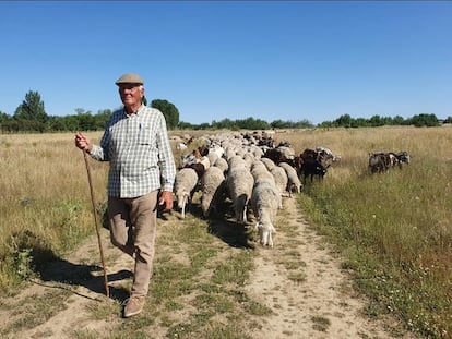 El naturalista Jesús Garzón, con un rebaño de ovejas y cabras, en una imagen de archivo.