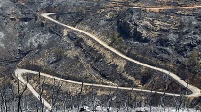 Pista forestal en el término municipal de Teresa tras el incendio.