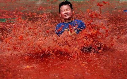 Un niño surcoreano se divierte en una piscina llena de tomate durante la fiesta de la tomatina que se celebra en Hwacheon en Corea del Sur.