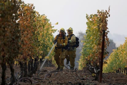 As zonas de evacuação incluíram alguns bairros da cidade de Santa Rosa de tenebrosa memória. Foi aqui que, em outubro de 2017, o chamado Tubbs Fire matou 23 pessoas e destruiu um bairro inteiro da cidade, que foi reduzido a cinzas em questão de horas. Esse incêndio foi causado por uma falha elétrica.