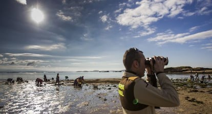 Un guardia rural de la cofradía de Cabo de Cruz vigila que no haya mariscadores furtivos en los arenales de Boiro (A Coruña) en noviembre.