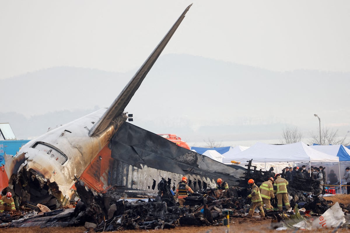 Researchers find remains of migratory birds on the wrecked plane in South Korea in December