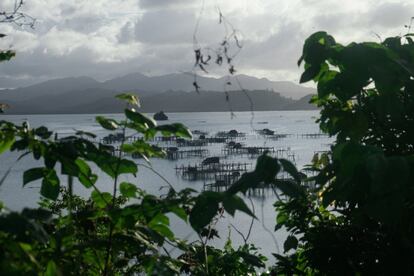 Cultivo de aguas en la costa de Palawan. Las actividades complementarias permiten mejorar los ingresos de los pescadores afectados por la creación de áreas marinas protegidas en el Triángulo de Coral.