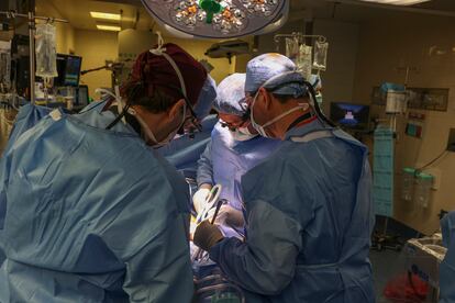 Surgeons perform the transplant at Massachusetts General Hospital in Boston on March 16.