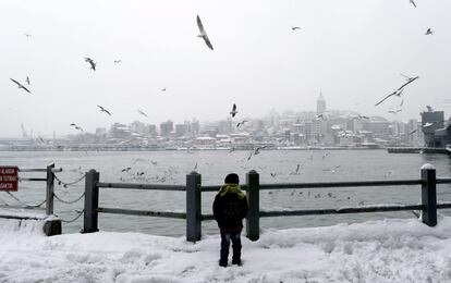 Un niño observa a las gaviotas en el puente Galata, En Estambul (Turquía).