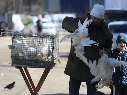 Una mujer vende aves en un mercado en la localidad rusa de Ivanovo.