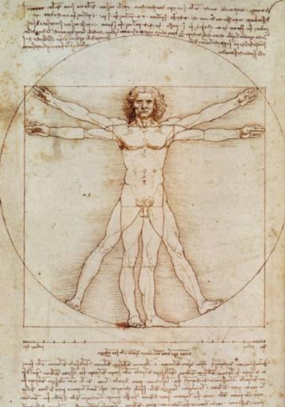 El hombre de Vitruvio de Leonardo da Vinci.