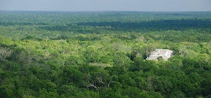 Reserva de biosfera de Calakmul