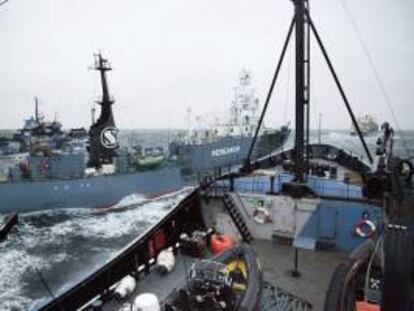 Fotografía facilitada por la organización ecologista Sea Shepherd que denunció que la flota ballenera japonesa atacó a dos de sus barcos, el Bob Barker y el Steve Irwin, en aguas antárticas de forma "provocada, despiadada y premeditada". En la imagen, el ballenero Yushin Maru curza por la proa del barco ecologista Steve Irwin a una distancia extremadamente corta.