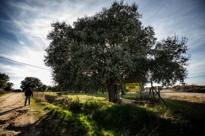 Una de las parcelas adquiridas por Berkeley en Retortillo (Salamanca) para su proyecto minero.