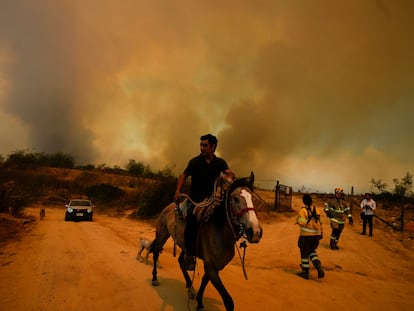 A man escapes on horseback from a fire in Viña del Mar while emergency services arrive at the scene, on February 3, 2024.