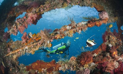 Una submarinista explorando el 'Liberty Wreck', barco hundido en aguas de Bali (Indonesia).