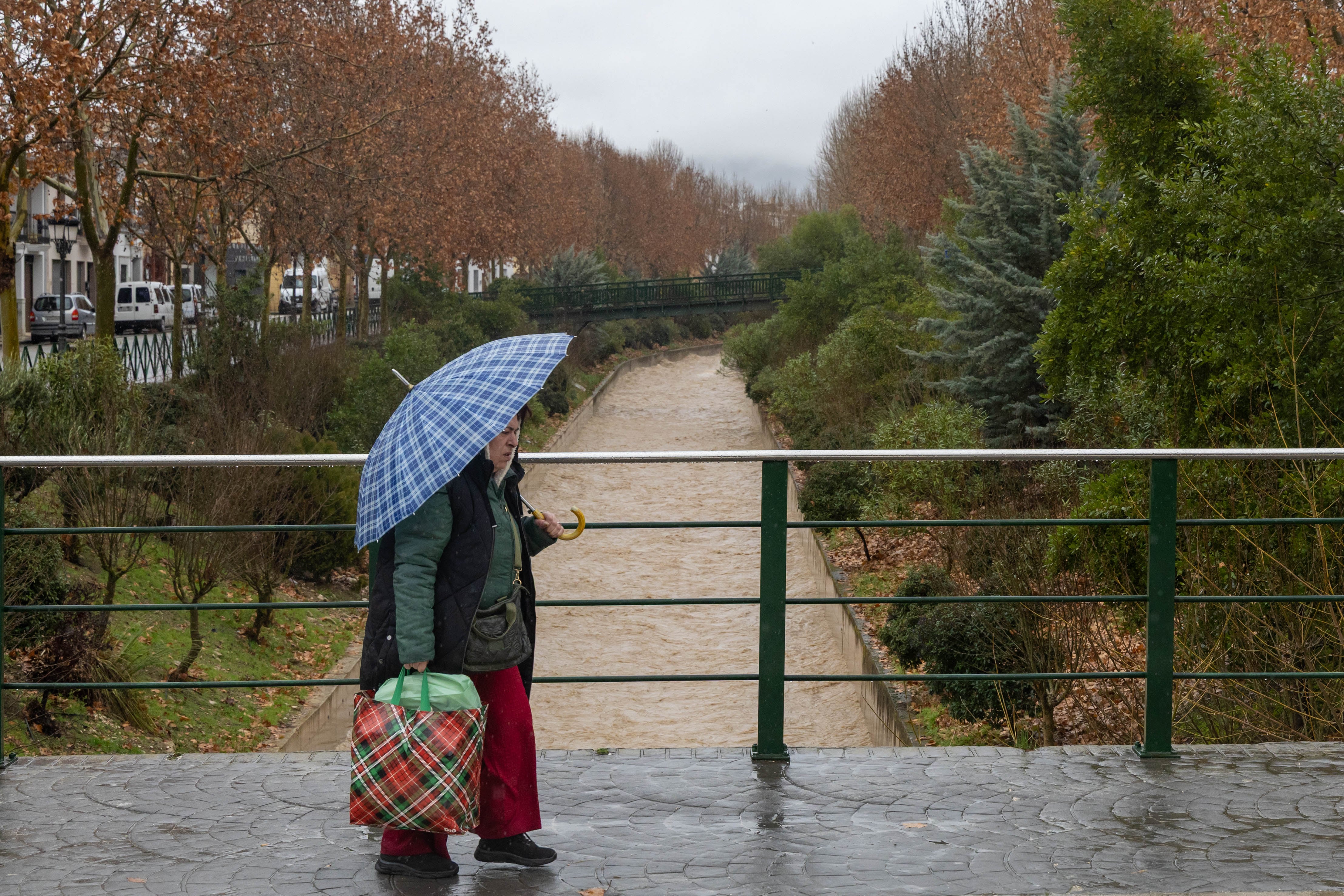 Málaga. 04/02/2026. Incidencias de la borrasca Leonardo en la provincia de Málaga. Río Guadalhorce a su paso Villanueva del Trabuco.
Foto: Álvaro Cabrera