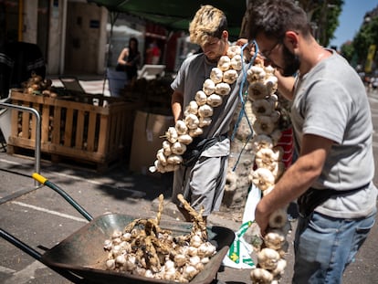 Dos jóvenes vendedores colocan las ristras de ajos en un carretillo.