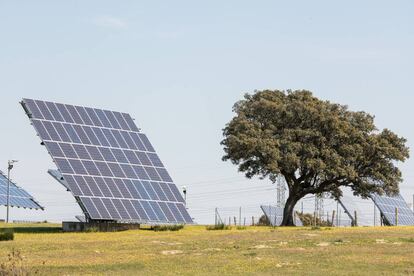 Paneles solares en el municipio de Almaraz (Cáceres)