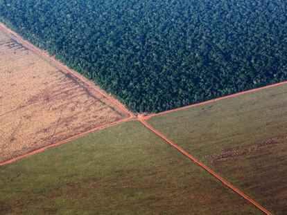 Vista aérea del bosque tropical del Amazonas bordeado por tierras deforestadas preparadas para la siembra de la soja, en el estado de Mato Grosso, Brasil.