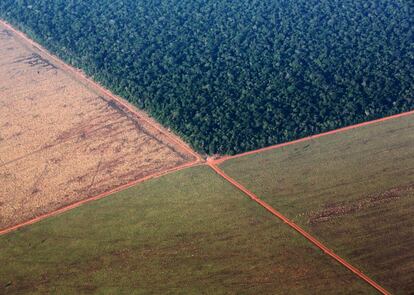 Vista aérea del bosque tropical del Amazonas bordeado por tierras deforestadas preparadas para la siembra de la soja, en el estado de Mato Grosso, Brasil.