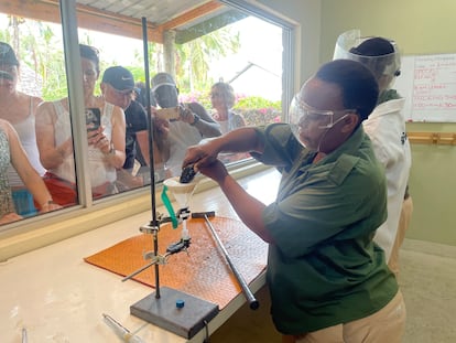 Un equipo "ordeña" serpientes para obtener su veneno  en la Granja de Serpientes de Watamu en Kenia. Tomada en febrero del año pasado.