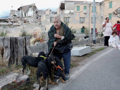 Um homem com seus cachorros em Amatrice, na Itália, após o terremoto desta quarta.