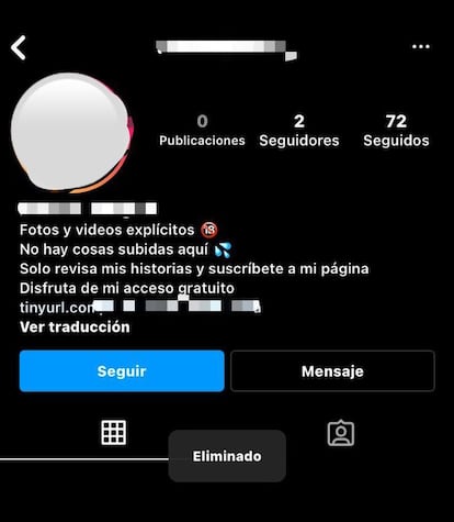 Captura de pantalla de un perfil falso.