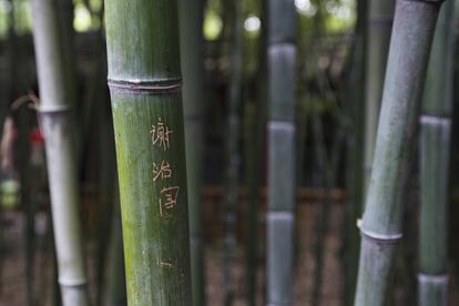 Un visitante chino deja su nombre grabado en una caña de bambú en un parque natural de la provincia de Yunnan.