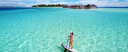 Surf de rem a l'illa de Mahibadhoo, a les Maldives.