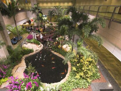 Jardín del aeropuerto Singapore Changi (Singapur)