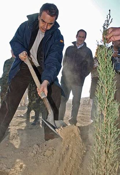 Rodríguez Zapatero cava en la tierra seca antes de plantar un árbol. Junto con los ministros Bono y Moratinos, un total de 17 árboles recuerdan a los 17 fallecidos en el accidente del Cougar en el lugar exacto del siniestro.