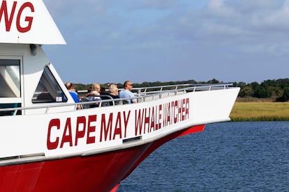 Un barco de la flota de Cape May Whale Watcher.