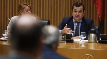 Leopoldo Gonz&aacute;lez-Echenique, durante su comparecencia en la Comisi&oacute;n de Control parlamentario de RTVE.