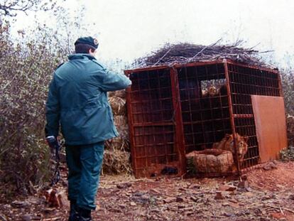 Un guardia civil señala la jaula de un león en la finca de Monterrubio de la Serena (Badajoz).