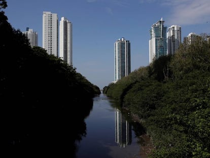 La contaminación causada por acciones humanas y los inevitables fenómenos atmosféricos amenazan a los manglares panameños, que ahora pierden cada vez más su capacidad para retener carbono de la atmósfera. 