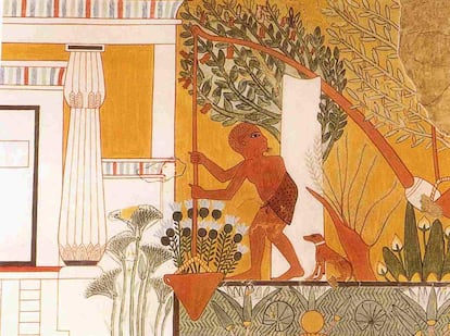 Escena con un jardinero en la Tumba de Ipuy en Deir-el-Medina, en Tebas, incluida en el libro 'El paraíso a pinceladas'.