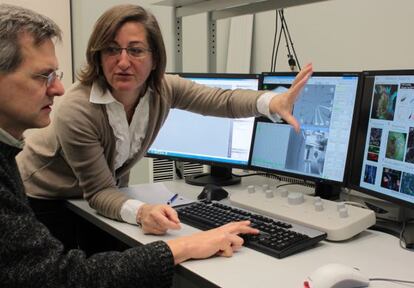 Los investigadores Alexander Bittner y Rosario Sánchez muestran imágenes de neuronas en cultivo.