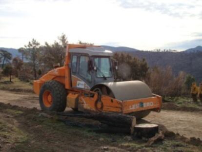 Maquinaria pesada retira restos de masa quemada en el bosque.