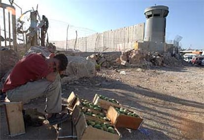 Un niño palestino vende higos chumbos en la ciudad de Ramala, apostado en el muro israelí.