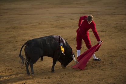 “Mi intención es que cualquier niño, haya acudido o no antes a los toros, pueda conocer personalmente este mundo y decidir si le gusta o no”, asegura el torero ante las críticas de Pacma y Ecologistas en Acción. En la foto, Escribano durante la corrida.