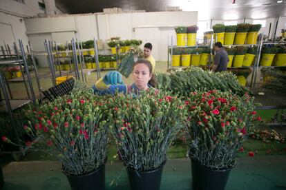 Una mujer prepara flores en un almacen