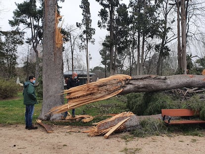 El concejal socialista Ignacio Benito (en el centro de la imagen) durante su visita al parque de El Retiro.