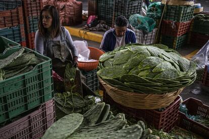 El Centro de Acopio de Nopal de la alcaldía Milpa Alta, al sur de Ciudad de México, no ha parado sus labores durante la emergencia sanitaria, el comercio es una de las actividades económicas más importantes de los pobladores.