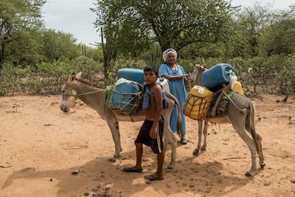 Los wayúu son el pueblo indígena con mayor población de Colombia, con 380.000 personas que se reconocían como tal en el censo de 2018. Habitan principalmente en la península de la Guajira, en el norte del país, y en el noroeste de Venezuela. Muchas poblaciones wayúu se ven obligadas a realizar largos desplazamientos para conseguir agua en esta árida región. La sequía y las altas temperaturas también dificultan conseguir alimentos en cantidad y calidad suficientes, en un departamento que mantiene tasas de mortalidad por desnutrición infantil hasta ocho veces más altas que el promedio nacional, según Ayuda en Acción. En 2023, murieron 71 niños en la Guajira por esta causa. Los obsoletos sistemas de recogida de agua se han visto desbordados por el crecimiento de la población, especialmente por el movimiento migratorio de su permeable frontera con Venezuela y el gran número de wayúus desplazados desde este país. En la imagen, tomada el 4 de agosto, una mujer y un niño con dos burros cargados de bidones.