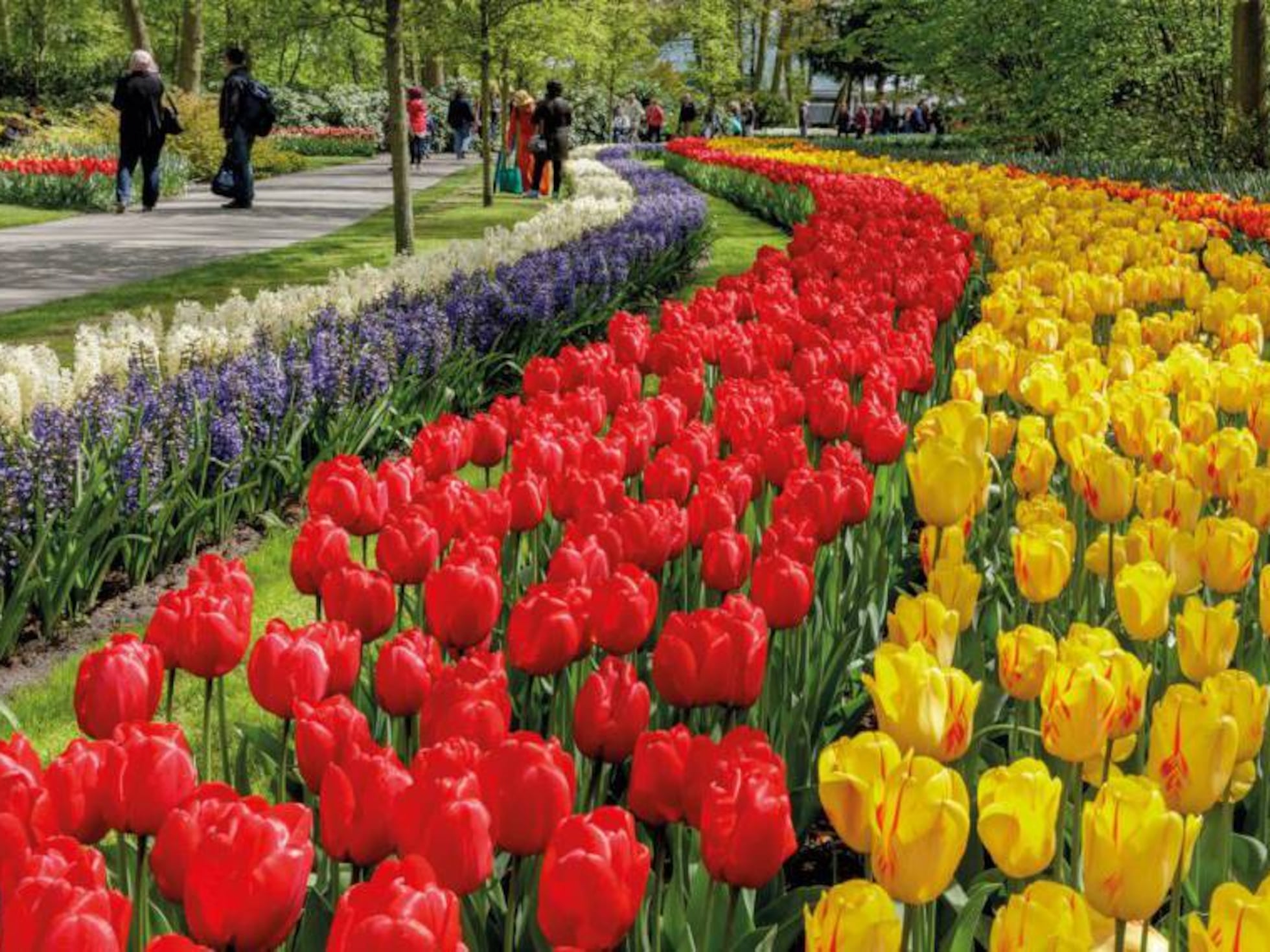 Equinoccio de primavera: el cambio de estación se hace oficial | Ciencia | EL PAÍS